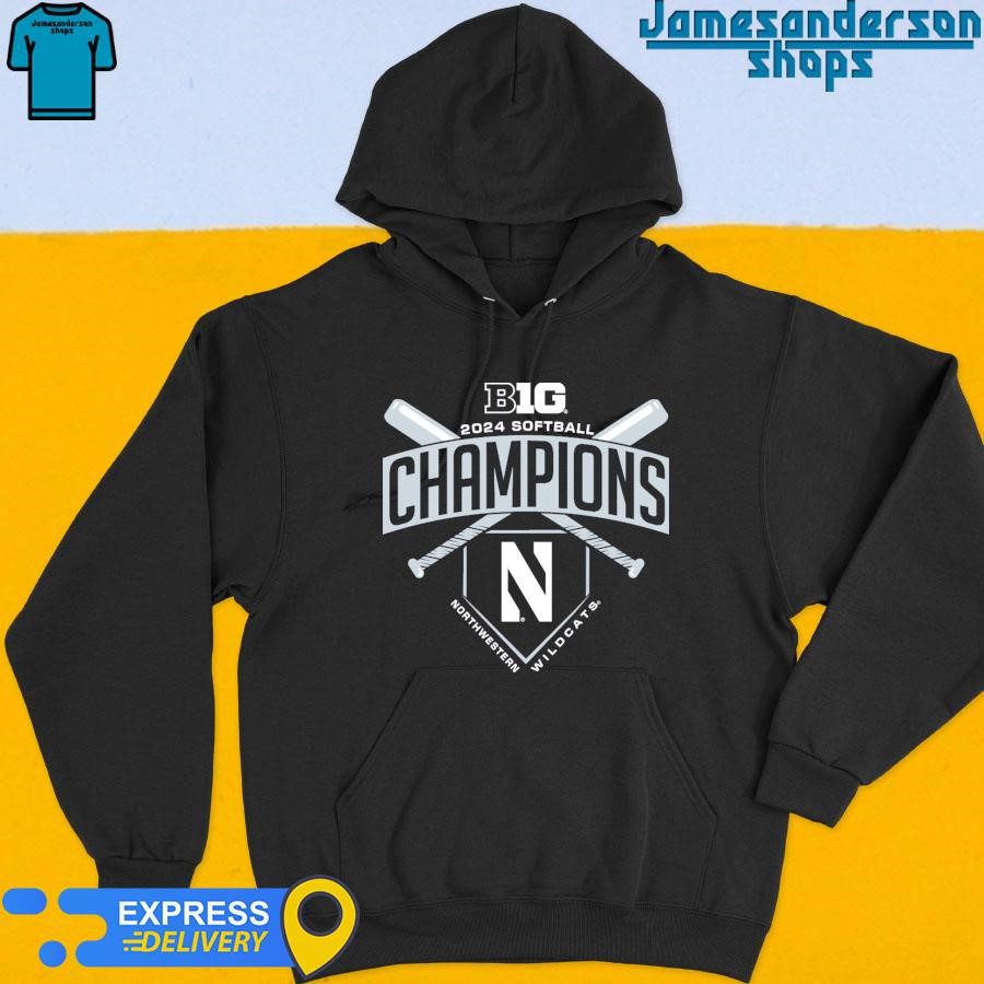 northwestern-wildcats-2024-big-ten-softball-regular-season-champions-hoodie Northwestern Wildcats 2024 Big Ten Softball Regular Season Champions Hoodie