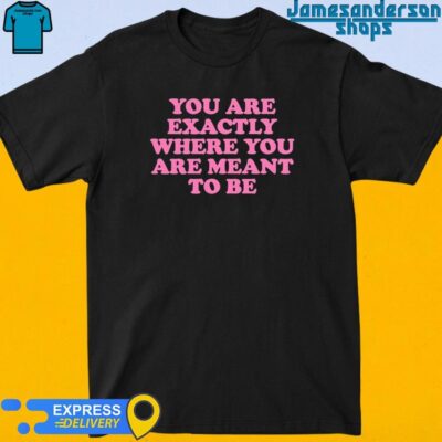 Official You Are Exactly Where You Are Meant To Be shirt